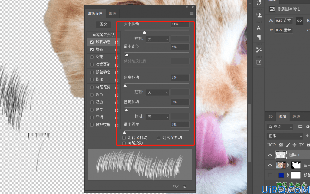 Photoshop动物抠图教程：学习给可爱的小猫图片进行抠图。