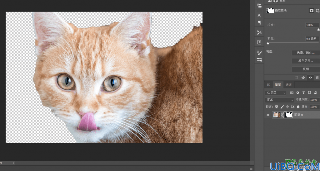 Photoshop动物抠图教程：学习给可爱的小猫图片进行抠图。