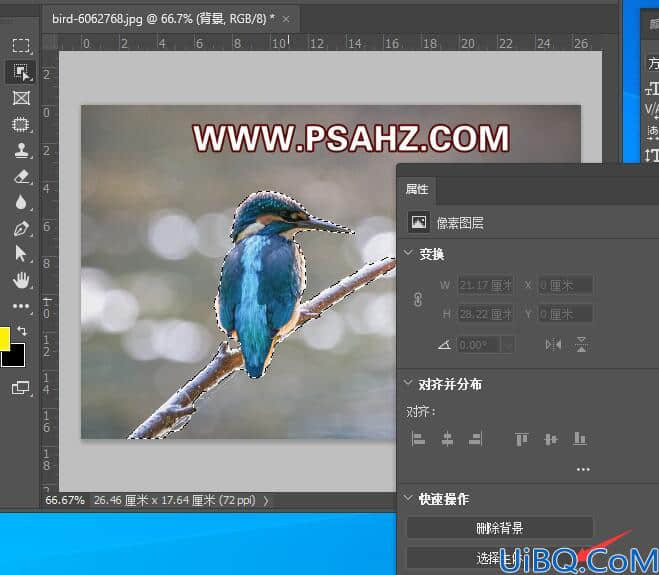 Photoshop动态图片制作教程：使用操控变形工具制作动态的小鸟。