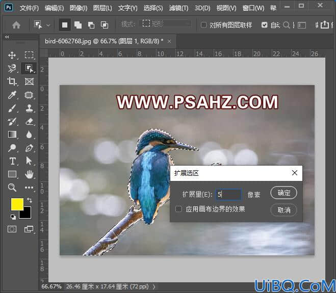 Photoshop动态图片制作教程：使用操控变形工具制作动态的小鸟。