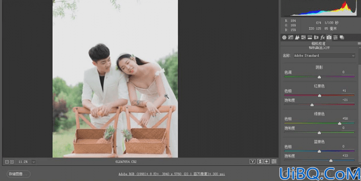 婚纱后期，制作小清新风格的婚纱人像