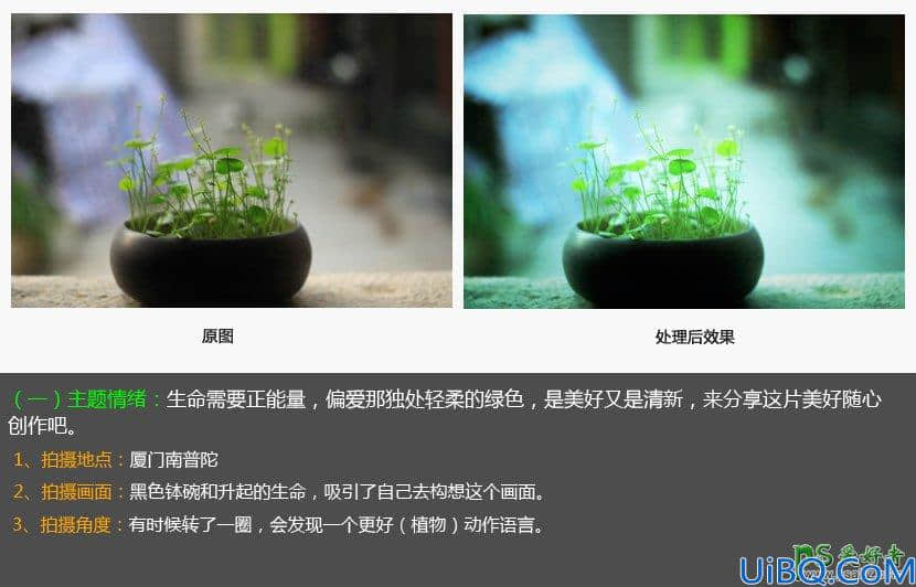 Photoshop后期给植物图片调出小清新效果。