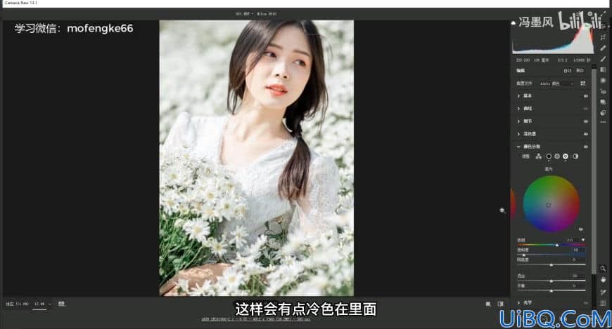 照片偏色怎么办？ 学习用camera raw 调出你想要的色调。