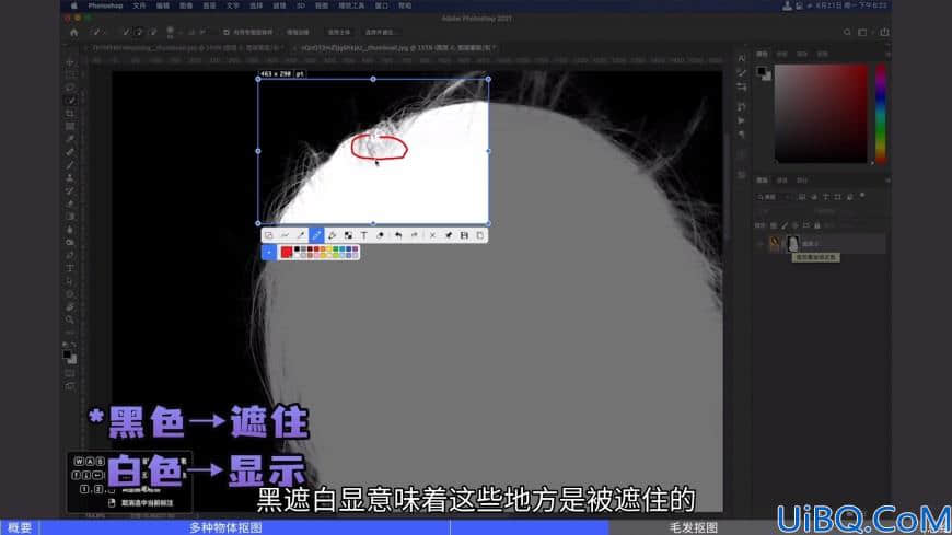 Photoshop抠图技巧教程：头发太乱怎么抠图？背景脏怎么抠出各种形状？