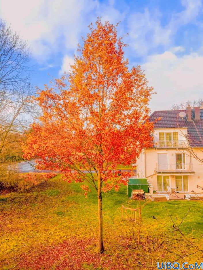 风景照片，制作金色梦幻童话般的秋季风景照