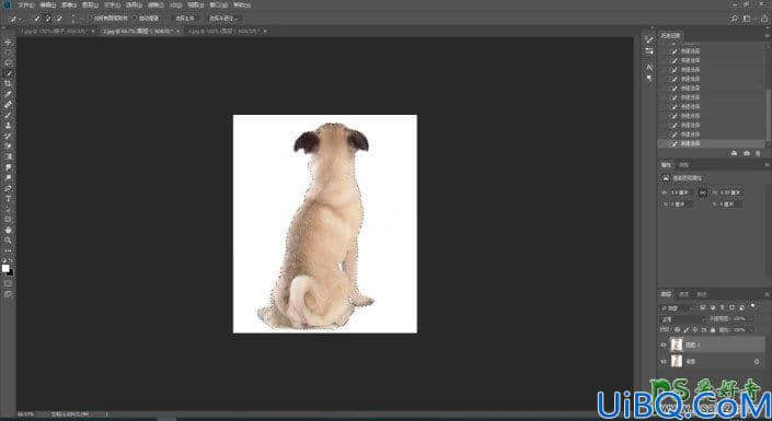 Photoshop创意合成小狗照镜子,原来在小狗的心里自己是草原之王—狮子。