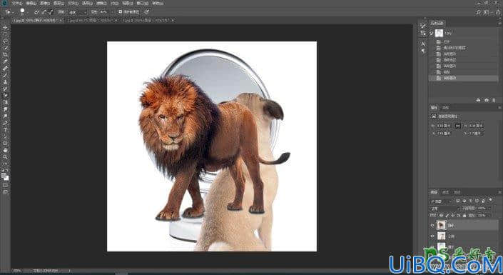 Photoshop创意合成小狗照镜子,原来在小狗的心里自己是草原之王—狮子。