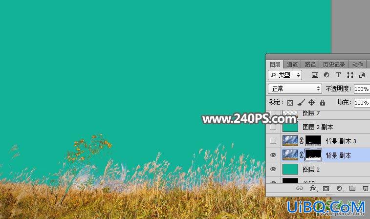 利用PS通道工具给野外秋季芦苇草场风光照片进行抠图。