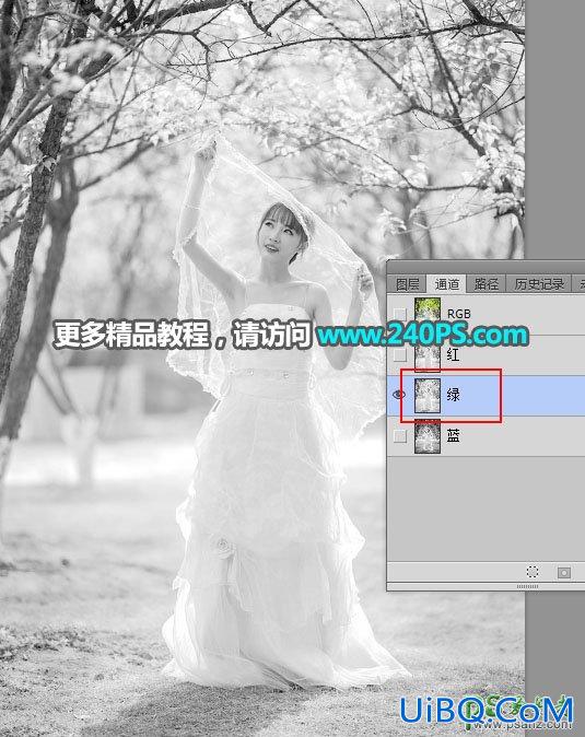 PS给树林中拍摄的丰满迷人少女婚纱照进行快速抠图换背景