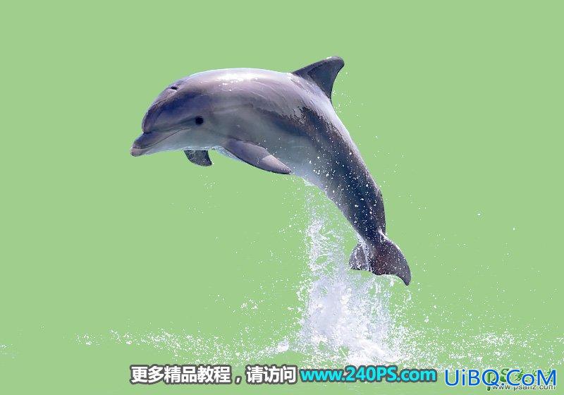 利用PS通道及调色工具快速把跃出水面的海豚素材图片