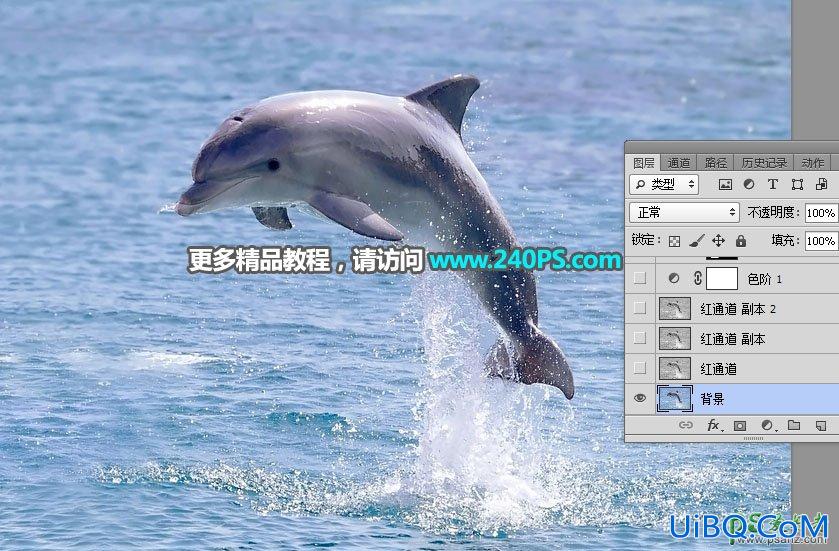 利用PS通道及调色工具快速把跃出水面的海豚素材图片