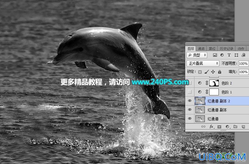 利用PS通道及调色工具快速把跃出水面的海豚素材图片