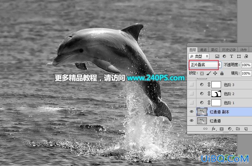 利用PS通道及调色工具快速把跃出水面的海豚素材图片