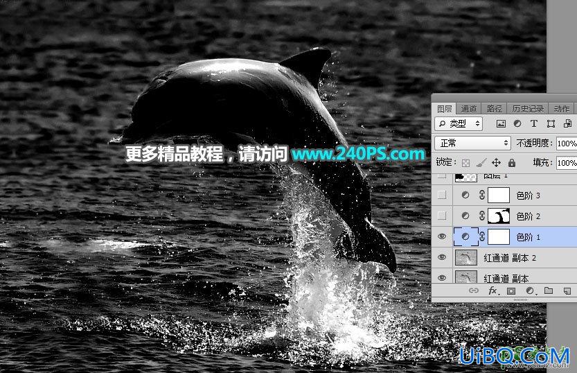 利用PS通道及调色工具快速把跃出水面的海豚素材图片