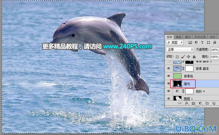 利用PS通道及调色工具快速把跃出水面的海豚素材图片