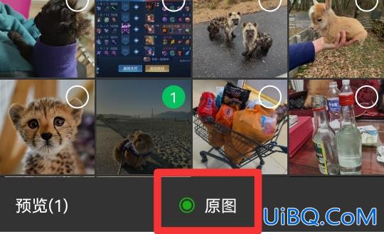 怎么发原图给朋友