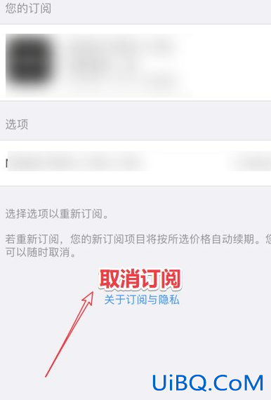 iphone芒果怎么取消自动续费