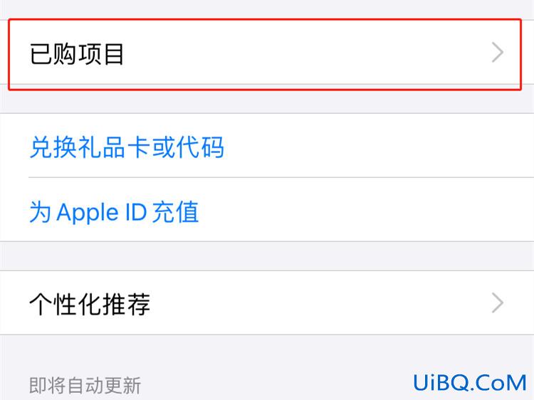 苹果消费记录在哪看