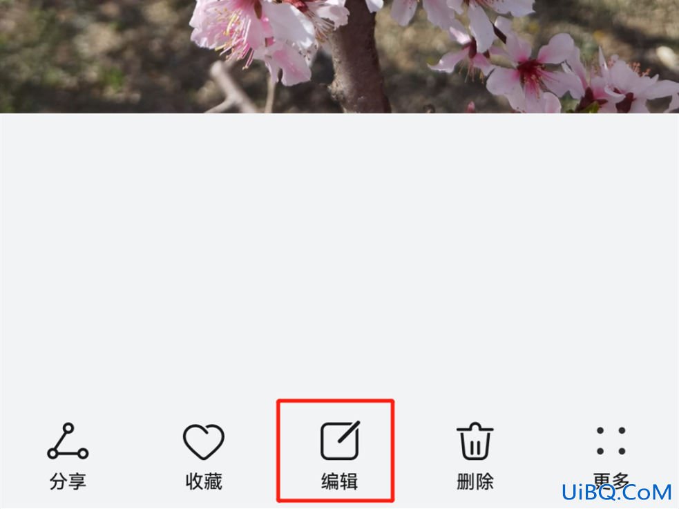 自己拍的花怎么配文字
