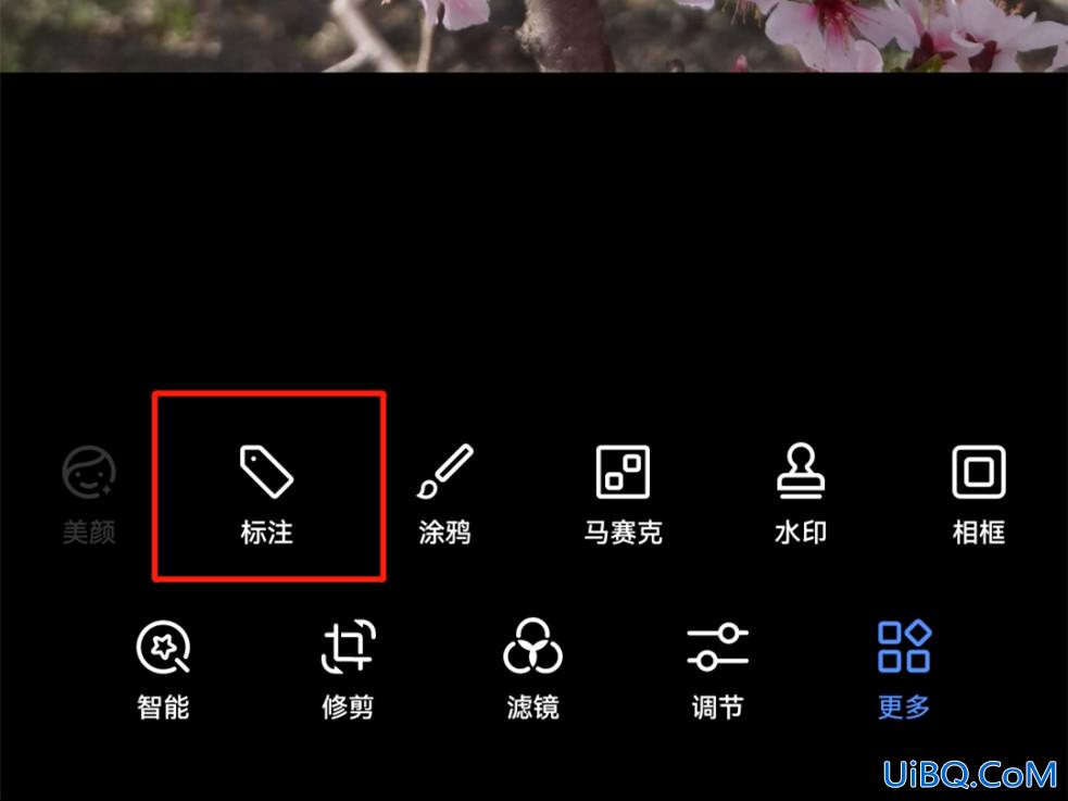 自己拍的花怎么配文字