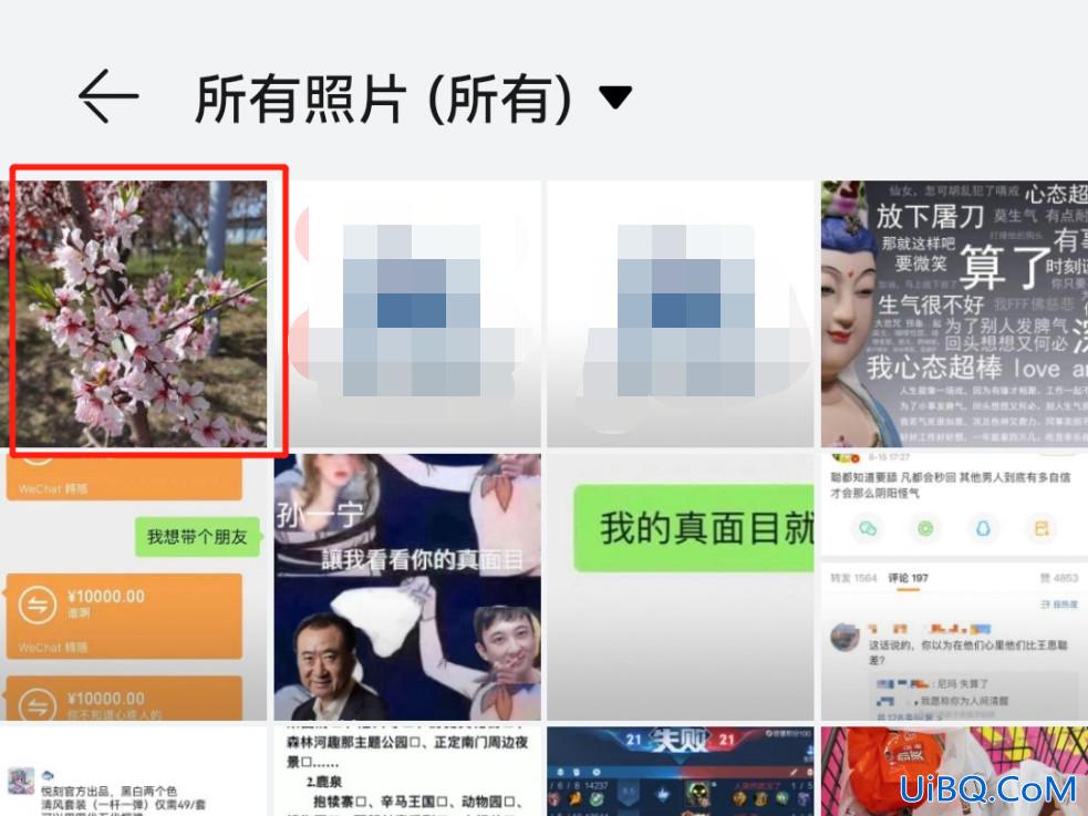 自己拍的花怎么配文字