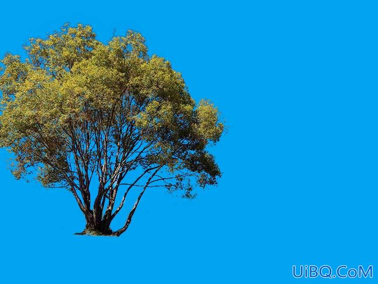Photoshop抠图教程：用通道及色阶工具快速抠出户外风景照片中的一棵大树
