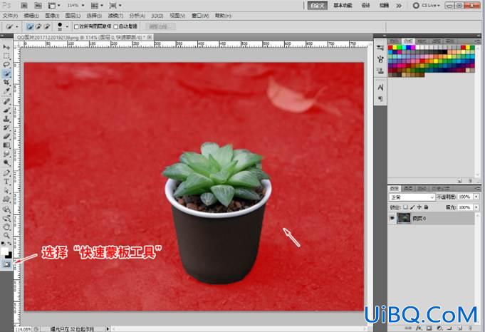 Photoshop快速蒙板抠图方法:用蒙板工具快速抠出花卉素材图片。