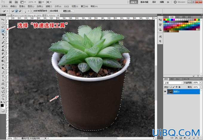 Photoshop快速蒙板抠图方法:用蒙板工具快速抠出花卉素材图片。