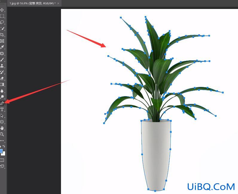 学习ps钢笔工具怎么抠图,用钢笔工具快速抠出植物,抠花卉植物素材