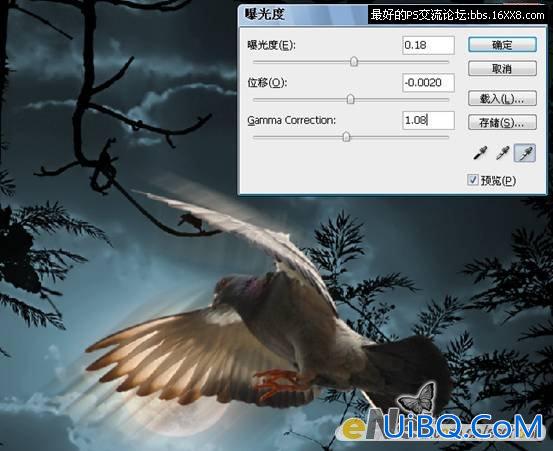 PS照片合成教程:黑夜中飞翔的鸽子