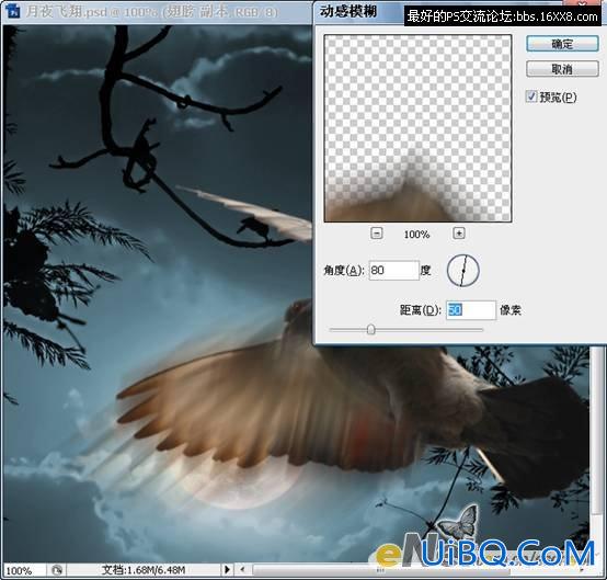 PS照片合成教程:黑夜中飞翔的鸽子