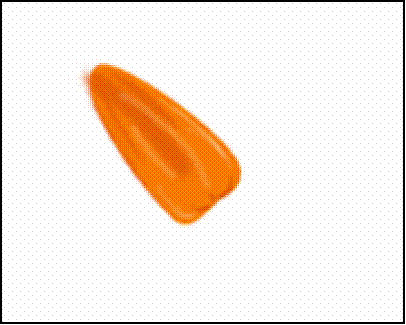 PS巧绘制非洲菊花