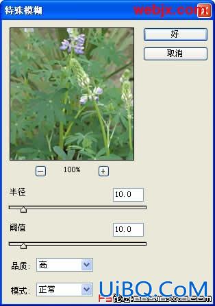 PS让花卉照片更加清晰嫩绿