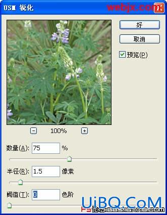 PS让花卉照片更加清晰嫩绿