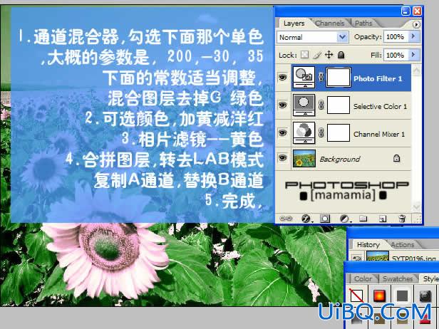用PS为漂亮花海简单快速调流行色彩