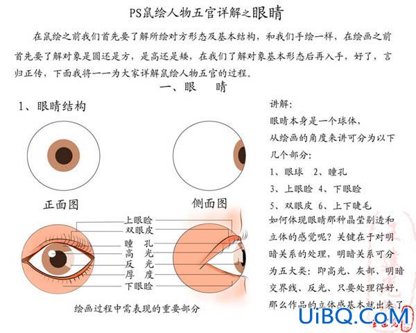 PS详解鼠绘教程:鼠绘眼睛