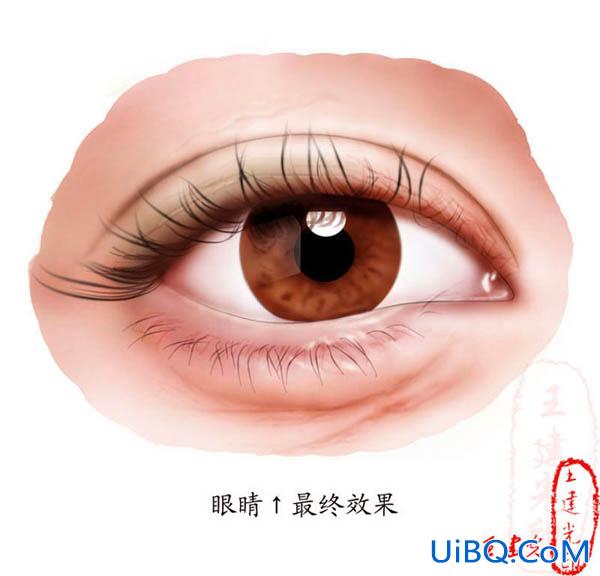 PS详解鼠绘教程:鼠绘眼睛