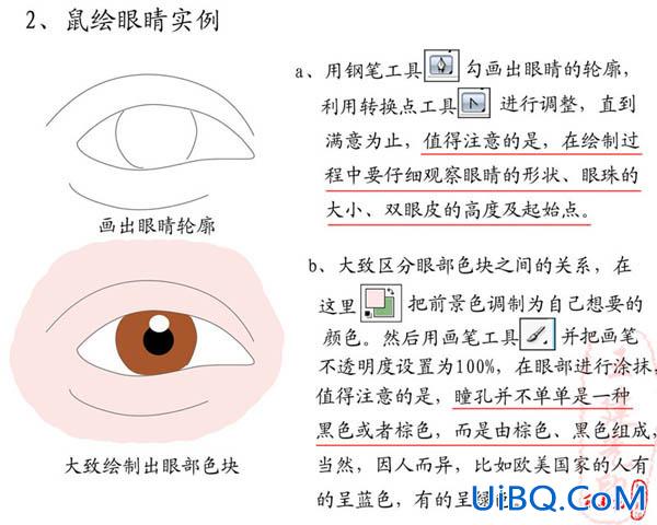 PS详解鼠绘教程:鼠绘眼睛