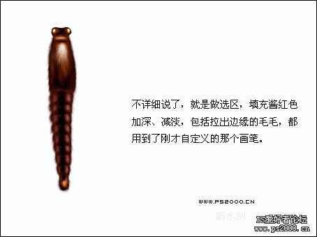 PS鼠绘教程:绘制逼真的美丽蝴蝶