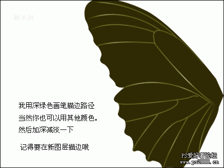 PS鼠绘教程:绘制逼真的美丽蝴蝶