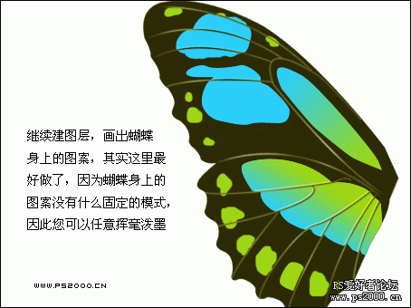 PS鼠绘教程:绘制逼真的美丽蝴蝶