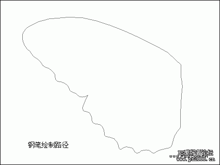 PS鼠绘教程:绘制逼真的美丽蝴蝶