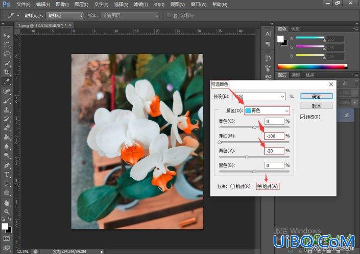 学习用Photoshop“可选颜色”调整图像,单独为鲜花进行调色,更换花朵颜色