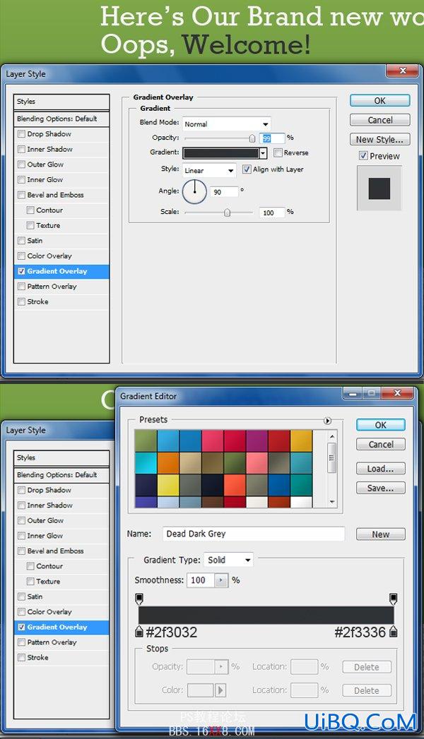 PS cs4教程:制作专业网站的2.0布局