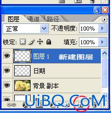 PS教程:制作简单2008年花卉日历