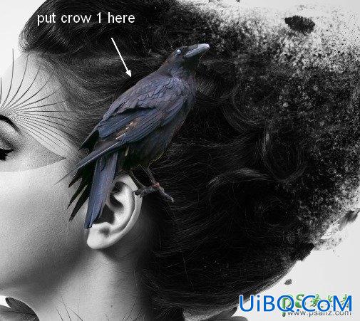 PS创意合成打散碎片纷飞效果的黑白抽象美女头像艺术照