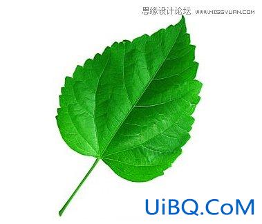 ps合成环保电视产品特效图