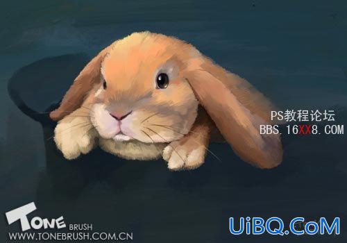 PS儿童插画教程:相对写实的兔子