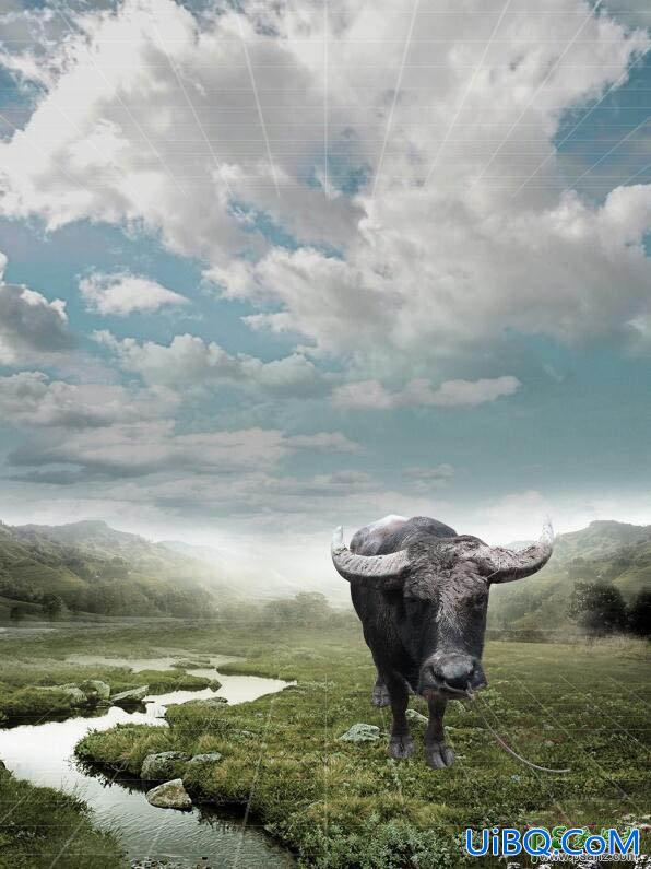 PS创意合成一头在野外孤独流浪的野牛场景海报