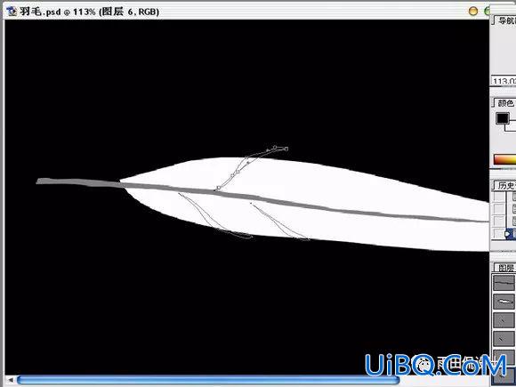 抠羽毛，Photoshop绘制逼真的洁白羽毛